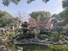 -申粤轩酒楼·三十年粤菜经典(丁香花园店)