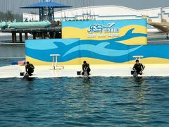 -秦皇岛乐岛海洋王国