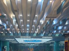 -Swim斯卫姆国际儿童游泳中心(红博中央公园店)