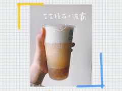 芝芝桂花-茉沏(昆山金鹰店)