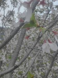 -晴川假日酒店·宴会厅·会议厅