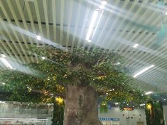 大堂-景好海鲜餐厅(大鹏必选旅游店)