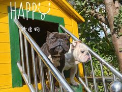 -上海崇明金茂凯悦酒店