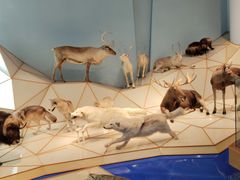 -Behring World of Animals(上海自然博物馆店)