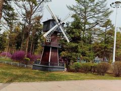 -黑龙江省森林植物园