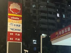 -中国石油加油站(严桥路站)