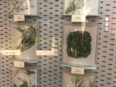 景点-中国湿地博物馆