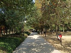 -白马涧龙池景区