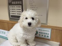 -瑞派宠物医院·24h·骨外科·皮肤科·全科宠物医疗转诊中心(沈阳浑南院)
