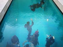 -金泽21世纪美术馆