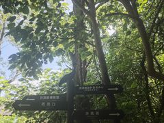 -盐城丹顶鹤湿地生态旅游区