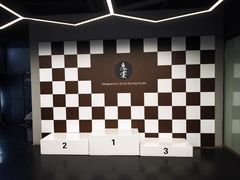 -魔赛卡丁车赛车汇(上海店)