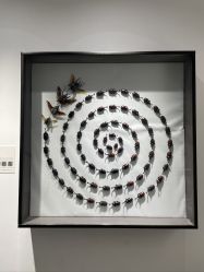 -酷嗒动物文化乐园(cutezoo西溪乐天城店)