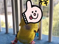 -美吉姆早教(恒隆中心)