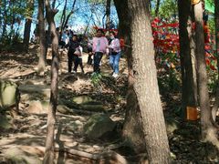 -灵岩山风景区