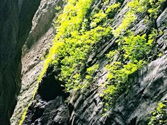 -武隆天坑地缝国家地质公园