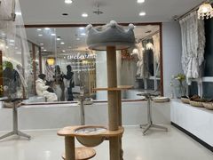 -共舞时光猫咖·狗咖(新街口店)