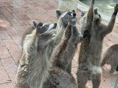 -水上乐园·欢乐世界