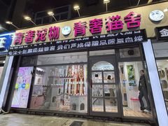 -青奢宠物·青奢猫舍