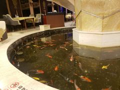 -碧中海汤泉汗蒸酒店