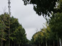 -岳阳市博物馆