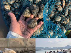 -巧克力渔家.小船海鲜家常菜(万平口店)