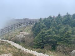 -白草畔自然风景区