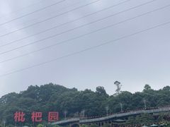 -枇杷园食为鲜火锅(南山店)