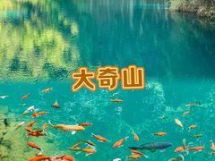 -大奇山国家森林公园