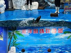 -左海海底世界