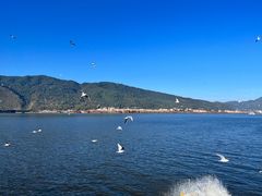 -海埂大坝
