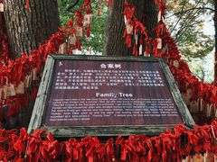 -乌镇西栅景区-月老庙