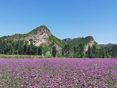-百里山水画廊