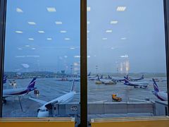 -谢列梅捷沃国际机场