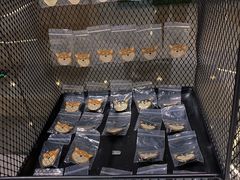 -柴务处·柴犬主题狗咖