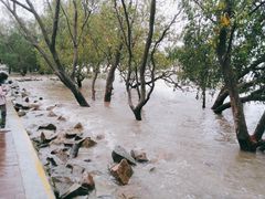 -宝安西湾红树林湿地公园