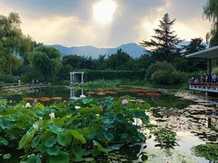 -国家植物园南园