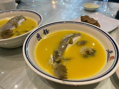 白汤河豚-钰园(水绘园店)