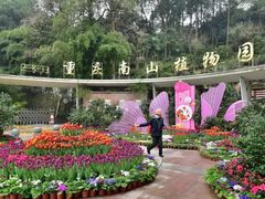 -南山植物园