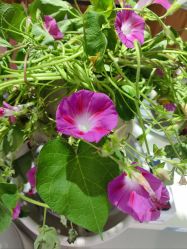 -今日陶艺(富力广场店)