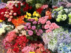 -桂林市花鸟市场