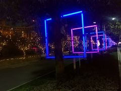 -锦江乐园舞狸花花游园会(夜场专享)