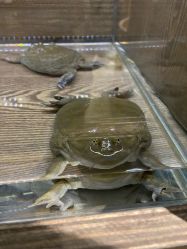 -Zoolung Zoolung动物主题公园(海信广场店)