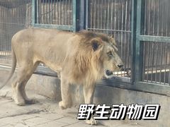 -野象谷景区