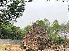-合肥野生动物园