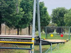 -上膳源有机农场