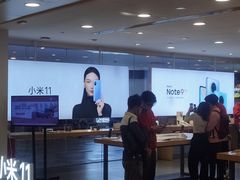 -小米之家(东方宝泰购物中心店)