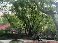 -徐家汇源景区-衡山公园