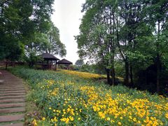 -保利石象湖景区