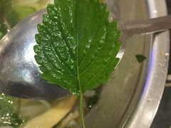 -华姐鸡粉(教育路店)